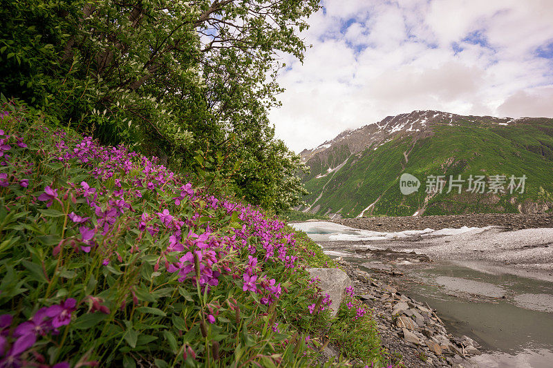 在阿拉斯加的Exit Glacier徒步旅行。